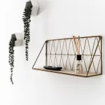 Apartment Lotus Aveiro