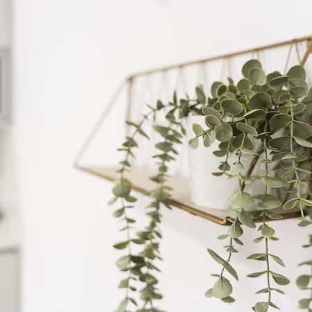 Lotus Lägenhet Aveiro