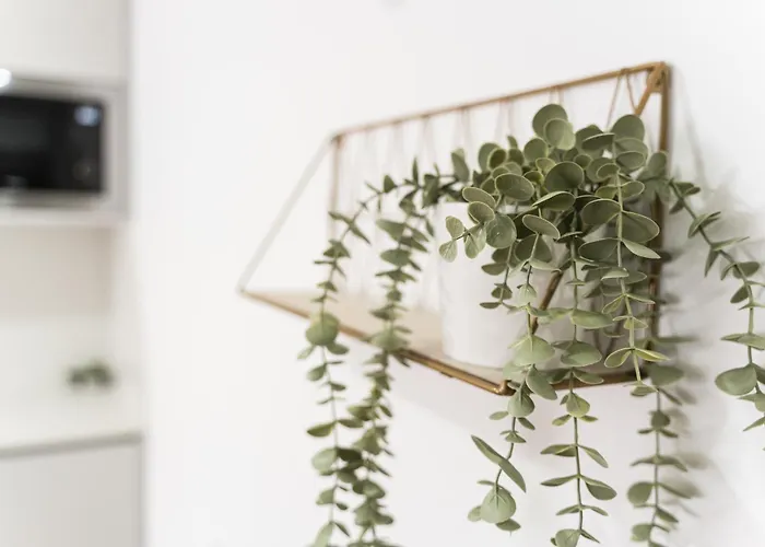 Lotus Apartment Aveiro